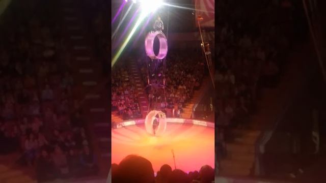 Нижегородский цирк СМЕРТЕЛЬНЫЙ НОМЕР. смотреть онлайн