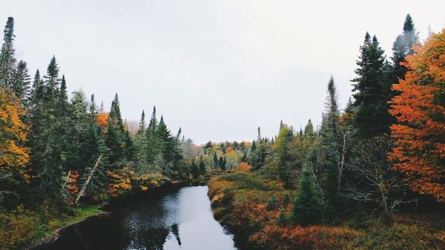 1 HOUR Bregman Music ▣►▣► Relaxing, Calming, Lullaby Music on Piano and Guitar смотреть онлайн