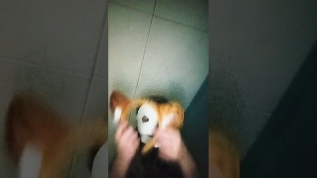 уже поняли какого я анимотроника буду делать:3 подсказка у него место руки крюк смотреть онлайн