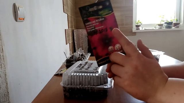 Результат посева петуний 16.01.2018. И посеяла ещё петунии 03.02.2018 смотреть онлайн