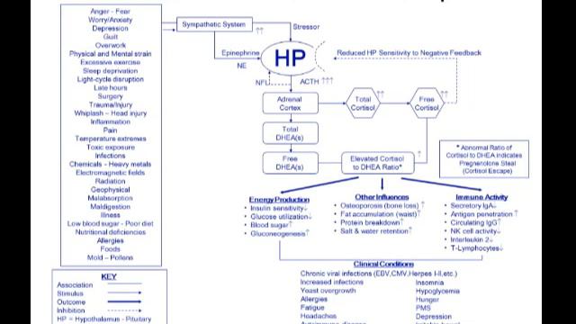 Immune Function and Autism Understanding Important Therapies for Restoring Health by Dr Woeller SD смотреть онлайн