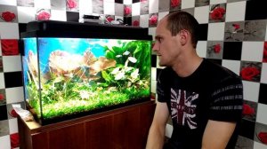 Аквариум 150л что изменилось за лето.