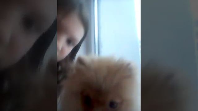 Я Круто кувыркаюсь и прыгаю.Продолжение видео номер 4.Это видео номер 3. смотреть онлайн
