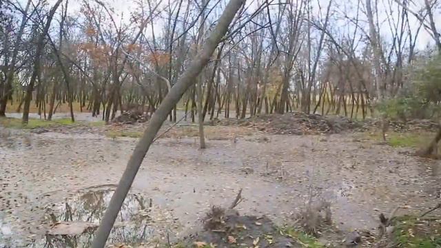 В парке «Дубовая роща» продолжаются роботы по очистке большого пруда смотреть онлайн