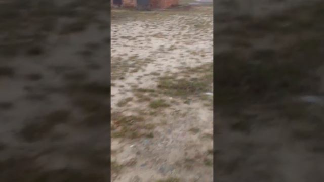 Мы незнаем куда попали смотреть онлайн