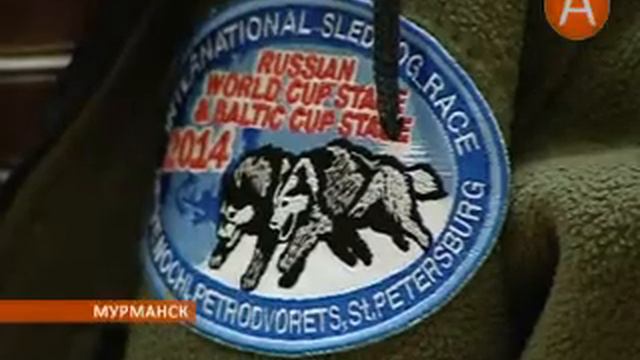 Молодёжный чемпионат по бесснежным дисциплинам ездового спорта пройдёт в Мурманске 30.09.2014 смотреть онлайн