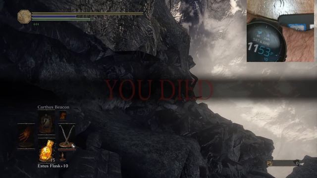 Dark Souls 3 NG+6: Soul of Cinder Final Boss Fight with Heart Rate! смотреть онлайн