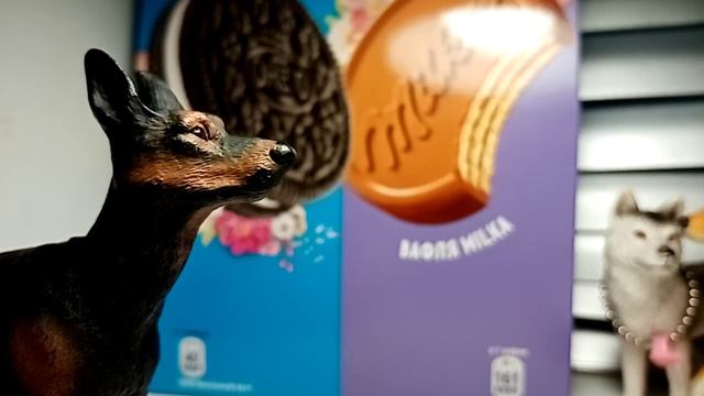 Вопрос-ответ. Если хотите ещё жду вопросики