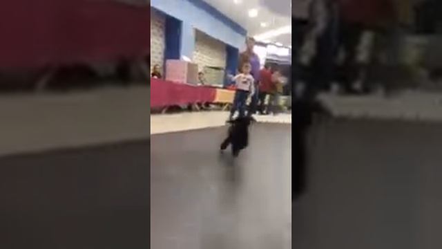 ЛД Минджэ (Жека) смотреть онлайн