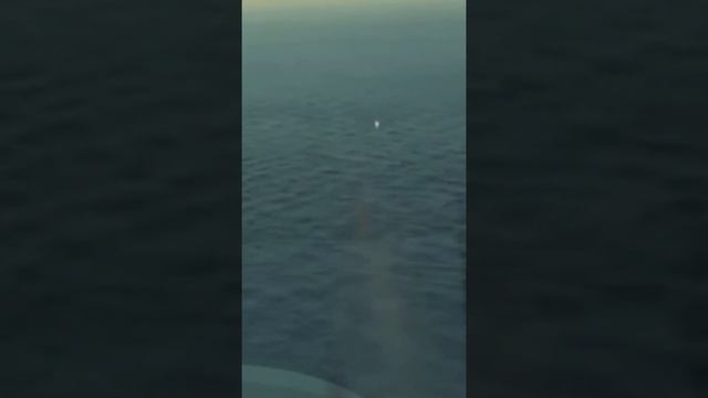 К-52К "Катран" #shorts смотреть онлайн