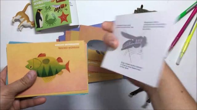 Обзор на Анатомию животных Лиды Лариной смотреть онлайн