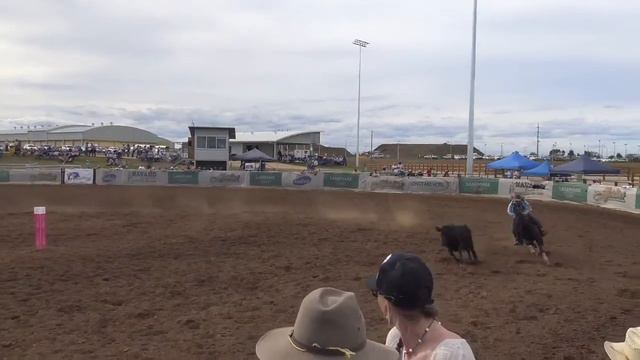 2019 Landmark Stallion draft Rd2 - Bobadil Destinys Diamond & Kurt Hanrahan - 88 смотреть онлайн