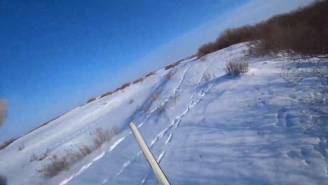 Охота на зайца русака. 15 февраля закрытие охоты на зайца. Сезон 2022-2023 №162 смотреть онлайн