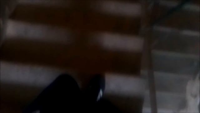 "НАДО ИДТИ ЗА ХЛЕБОМ , А ЛЕНЬ , А НАДО..." l ТИПИЧНАЯ СИТУАЦИЯ смотреть онлайн