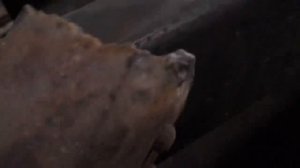 Замена траверсы  под кабину КАМАЗ!!!Немного запчастей с разборки!!!Дайте совет.