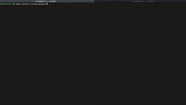 Demo of the strace-docker tool смотреть онлайн