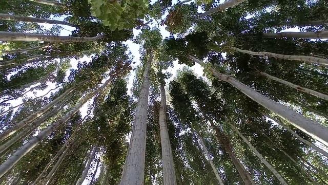 Surah Ali-Imran смотреть онлайн