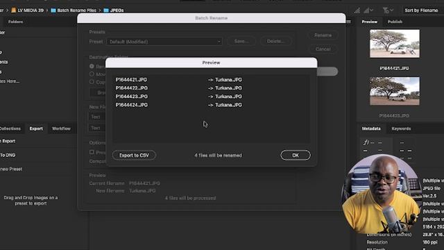 Batch Renaming Files in Adobe Bridge смотреть онлайн