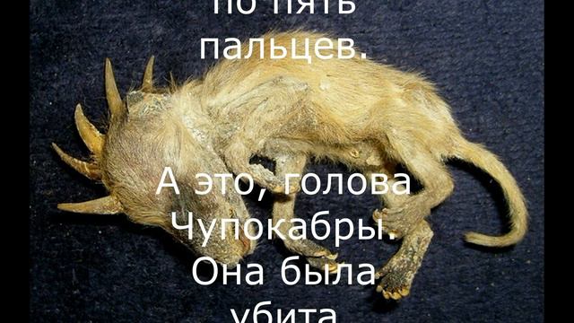 Монстры среди нас! Их уже много! смотреть онлайн