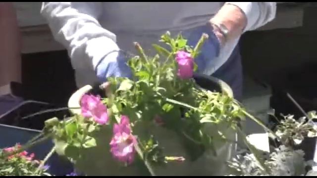 2021 May - Container Gardening