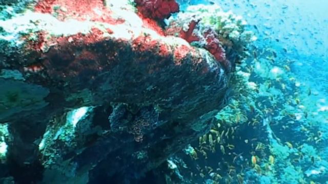 Красное море | Диалоги о рыбалке рекомендуют смотреть онлайн