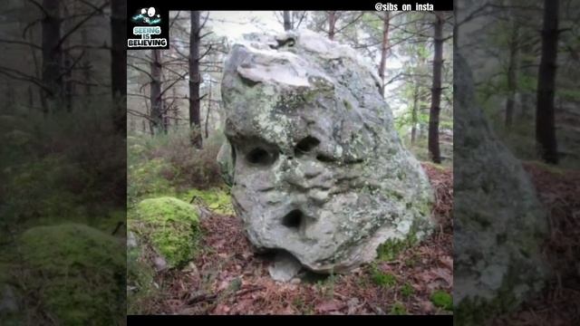 A Lost World - Fontainebleau Forest, France смотреть онлайн