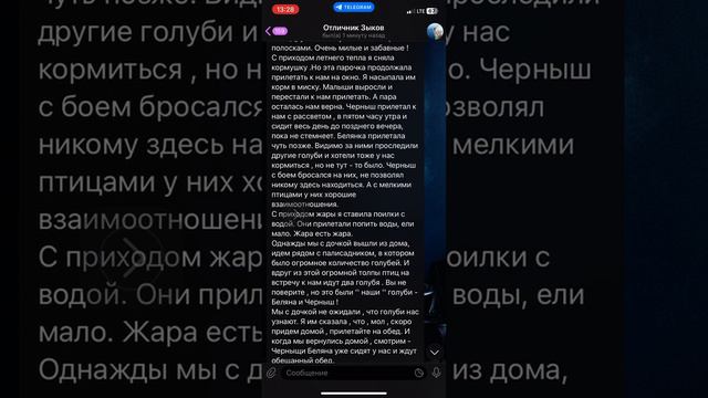 ГОЛУБИНАЯ ИСТОРИЯ (включи на уроке) смотреть онлайн