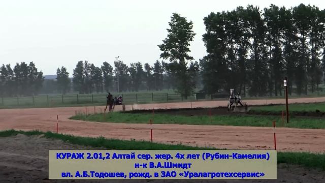 РЕЗВЕЙШИЕ ОРЛОВСКИЕ РЫСАКИ 2014 ГОДА смотреть онлайн