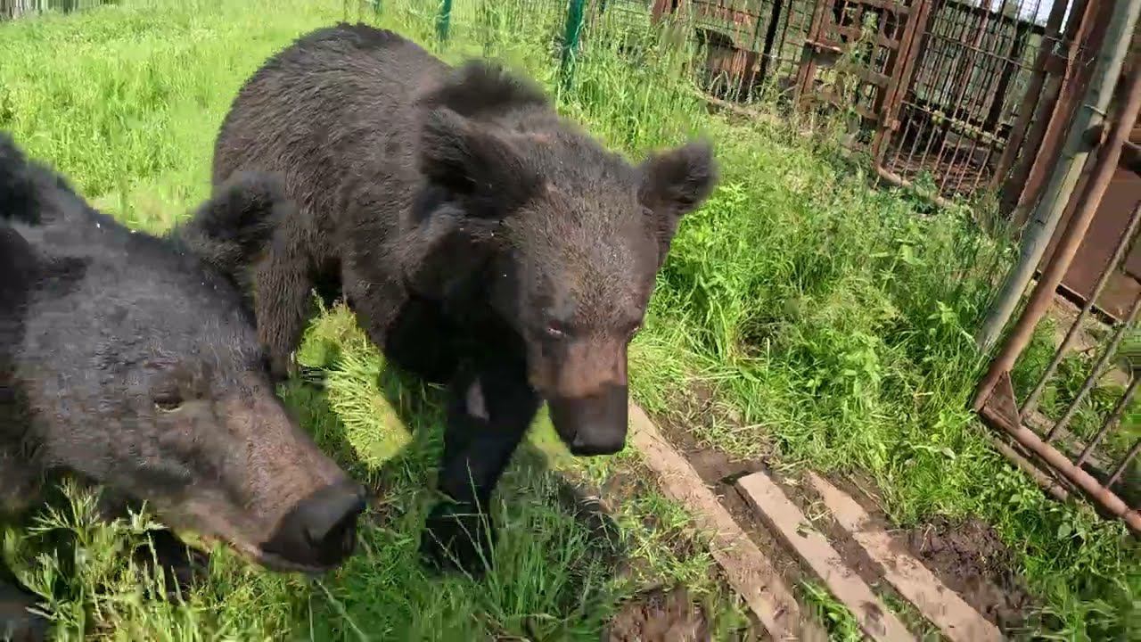 Нам опять новость прилетела. смотреть онлайн