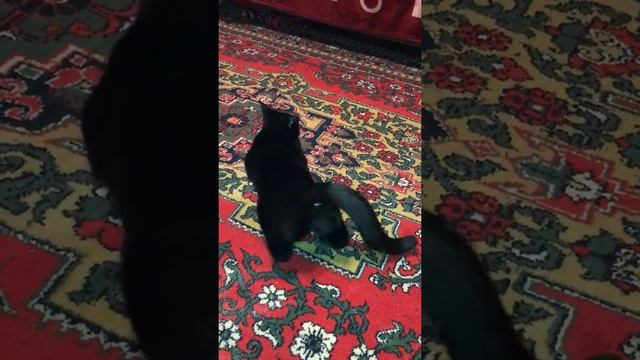 В какой позе должна быть женщина,али как должна вести себя смотреть онлайн