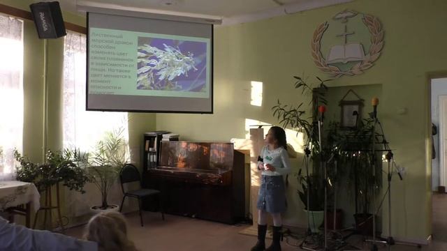 Морской конек-тряпичник ( Мариам Кирилловых) смотреть онлайн