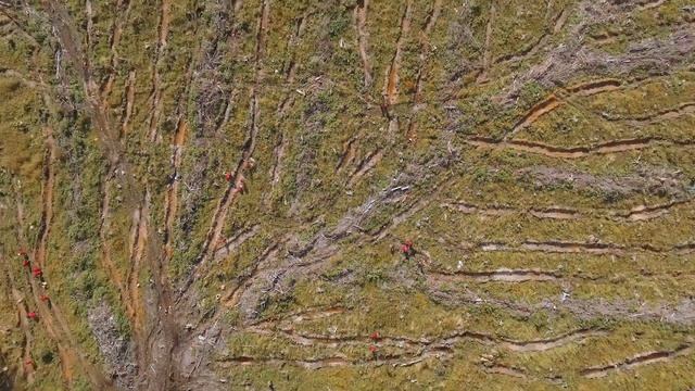 Видеосъёмка для Selectel. Всероссийская акция 