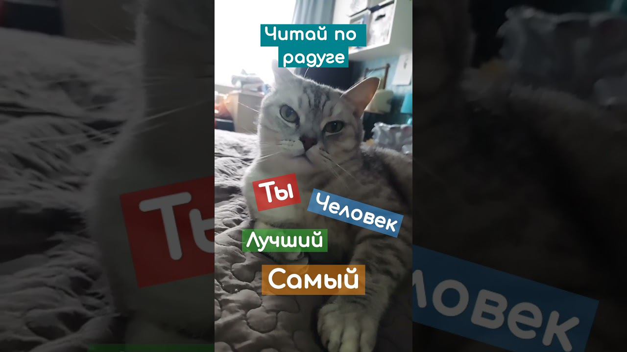 Читай по радуге #shorts смотреть онлайн