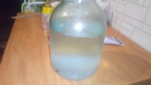 Чем опасен чайный гриб и/или индийский  морской рис