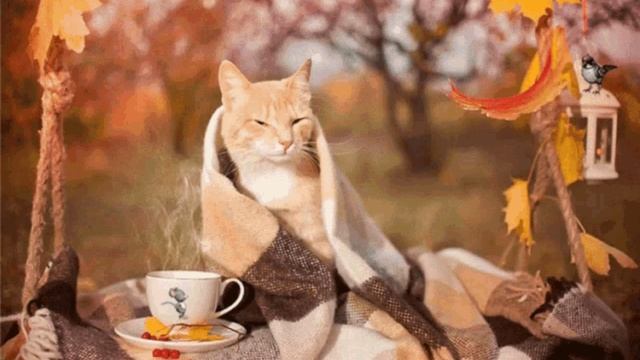 ...И я уйду. А птица будет петь, как пела... смотреть онлайн