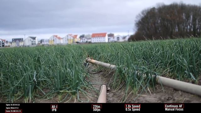 Canon 7D Mark II Sample Footage (Continues Auto Focus, Slow Motion) смотреть онлайн