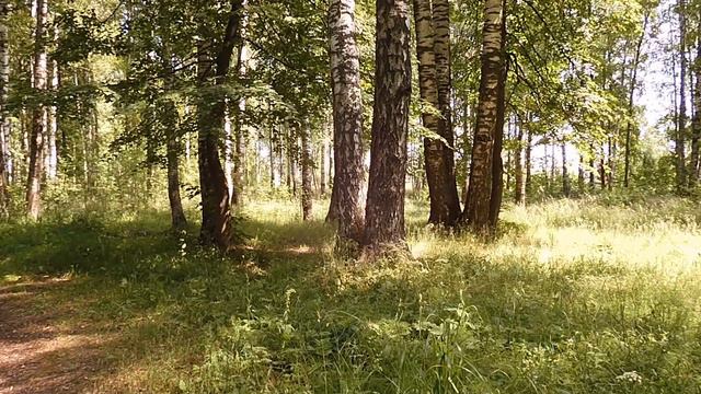 Гуляем в парке. Волгореченск. Июнь 2021 смотреть онлайн
