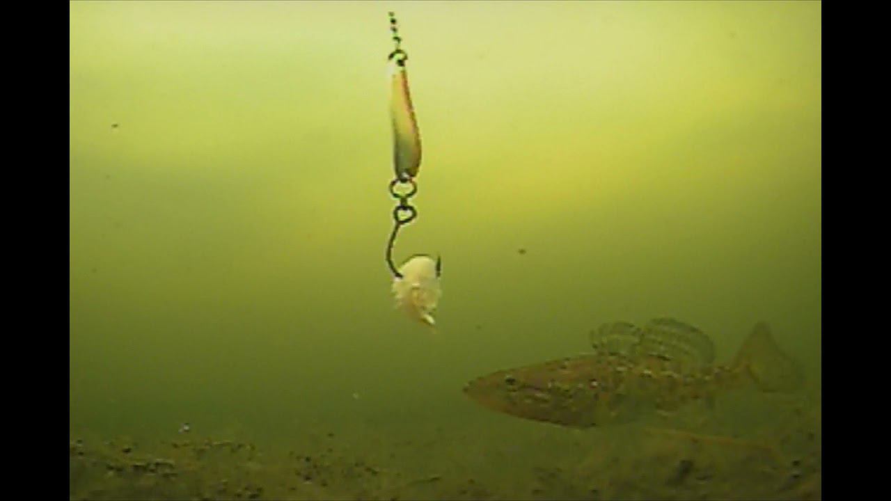 РЫБЫ ПОЛНО. ПОДВОДНАЯ СЪЕМКА. Зимняя рыбалка видео смотреть онлайн