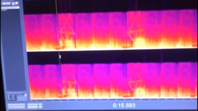 Число 666 зашифровано в аудиосигнале компьютерных игр смотреть онлайн