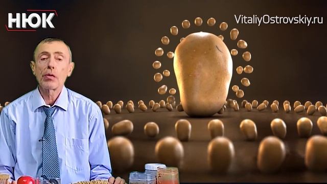 3 Полезных Продукта, Которые Все Готовят, Едят и Используют Неправильно! смотреть онлайн