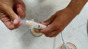 БОЛТУШКА для РЫБАЛКИ из МАНКИ с КОРИЦЕЙ – СУПЕРСКАЯ НАСАДКА на ПЛОТВУ и ПОДЛЕЩИКА