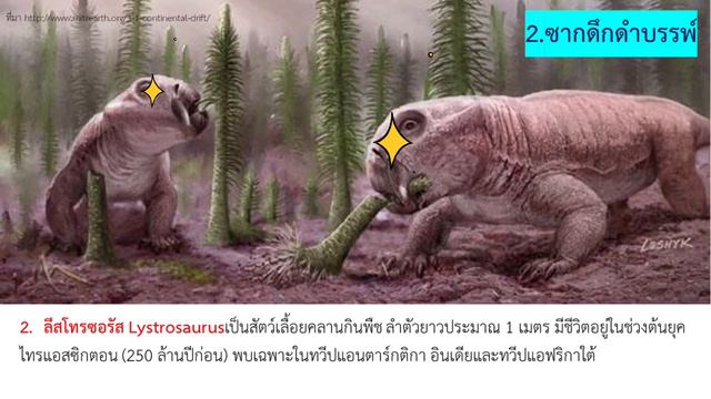 ทฤษฎีทวีปเลื่อน - อัลเฟรด โลธาร์ เวเกเนอร์ смотреть онлайн