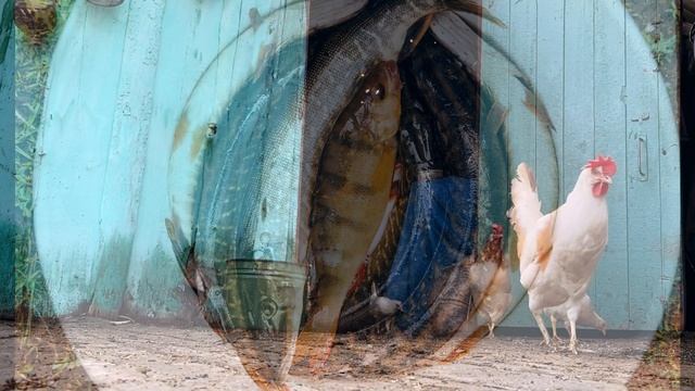 День в деревне. Большой Арбай. Водопад. смотреть онлайн