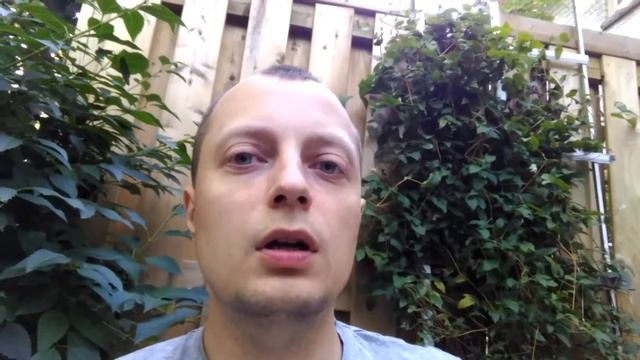 Отзывчивость