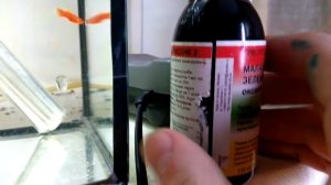 ПЛАВНИКОВАЯ ГНИЛЬ!!!