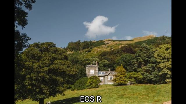 Canon Eos R7 Vs Canon Eos R | Camera Test