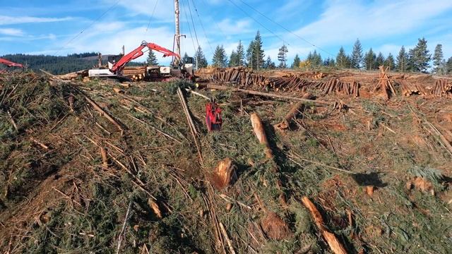 Logging In Western Oregon смотреть онлайн