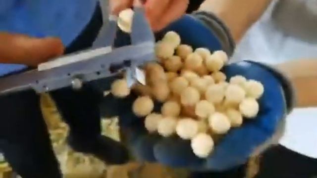 Оборудование для производства рисовых шариков 2022 смотреть онлайн