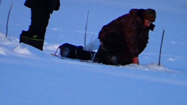Рыбалка на язя в черте города. Байки старого рыбака Олега. Хмао-югра. смотреть онлайн