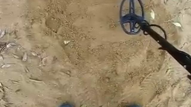 AT-GOLD катушка 5х8DD тест на глубину обнаружения ювелирки. смотреть онлайн